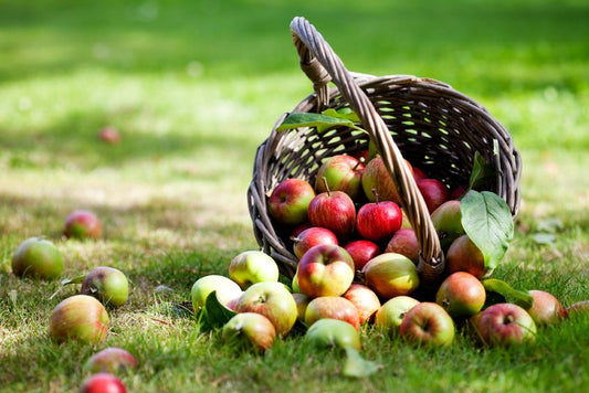 DIY Apple Body Scrub for Fall